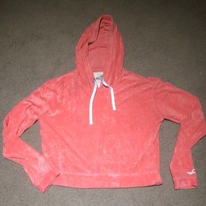 Hollister